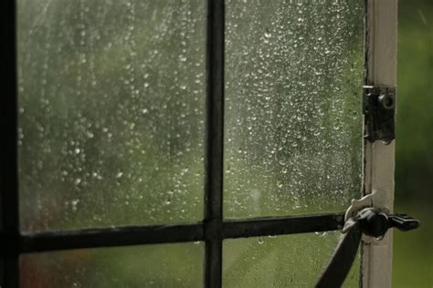 35 Rainy Day Window Pictures - The Photo Argus