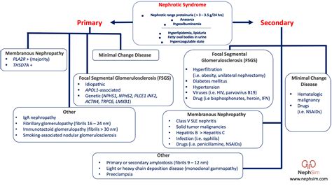 GrepMed on Twitter: "Nephrotic Syndrome Differential Algorithm via @Neph_Sim: https://t.co ...