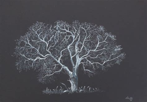 Oak Tree Drawing 3 Oak Tree Drawings, Pencil Drawings, Prismacolor Pencils, Tree Tattoo, Winter ...