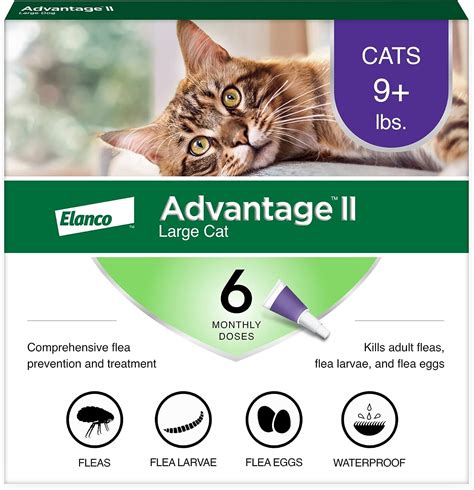 Amazon.com : Advantage II Large Cat Vet-Recommended Flea Treatment ...