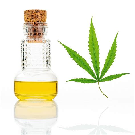 Green hemp leaves with a glass bottle of oil reflected isolated on ...