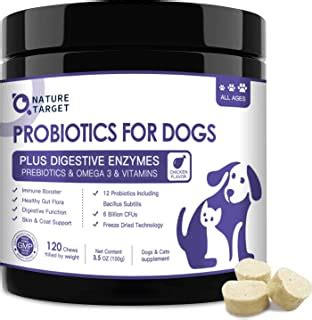 10 Best Probiotics For Dogs Itchy Skin - My Healthy Adviser