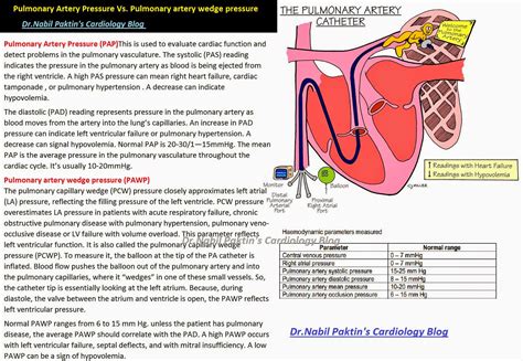 Dr.Nabil Paktin's Journal of Cardiovascular Medicine Blog ژورنال ( قلب ...