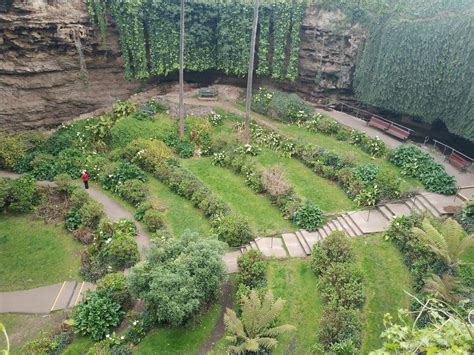 Umpherston Sinkhole - Cave Garden, Address & History, Mount Gambier