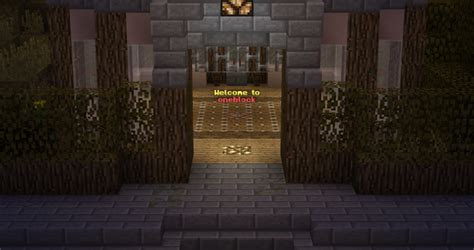 Oneblock Minecraft Server