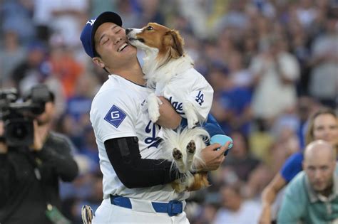 Shohei Ohtani and dog Decoy throw out first pitch on bobblehead night, slugger hits HR