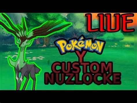 X and Y Custom Form Shiny Hunting 2 : PokemonYoutube