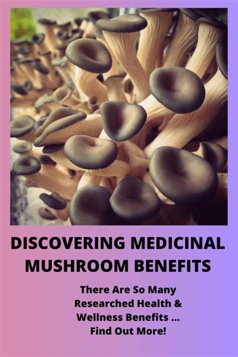 Discovering Medicinal Mushroom Benefits - Medicinal Mushroom Guide