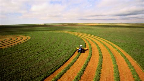 Harvesting alfalfa crop, aerial view - Canadian Energy Centre