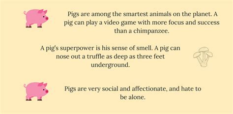 8 fun facts about pigs — Stone Pier Press