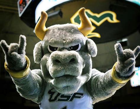 Rocky the Bull - Cover Photos | Facebook | Usf bulls, Usf, University ...