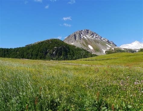 Passaggio Di Bernina O Passo Del Bernina in Svizzera Fotografia Stock ...