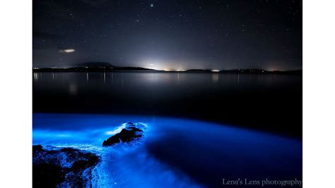 Bioluminescence lights up Tasmanian shoreline, creates beautiful photos | abc7chicago.com