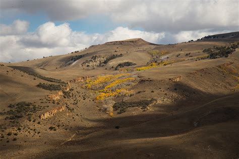 White Rock Mountain Proposed Wilderness - Friends of Nevada Wilderness