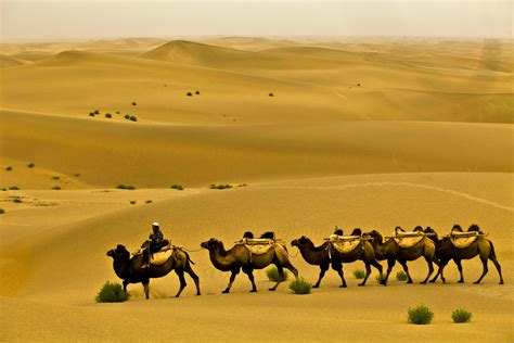 Travel Trip Journey : Taklamakan Desert, China