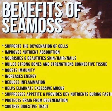 - Total Life Changes, LLC | Irish moss recipes, Sea moss benefits, Sea ...