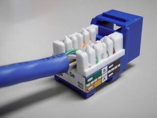 Cat5e or Cat6 Termination - Hawaii Network Cabling