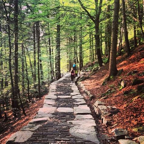 Stoltzekleiven opp! #Bergen#Norway#hiking#trails#forest#