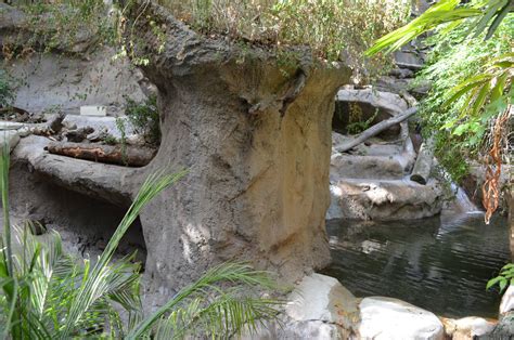 Bornean Sun Bear Habitat - ZooChat