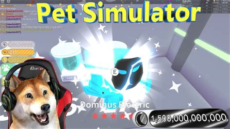 Roblox Pet Simulator 100s of free Dominus Rainbow pets!"🐾🐕Giving away tier 17!!🐕🐾" - YouTube