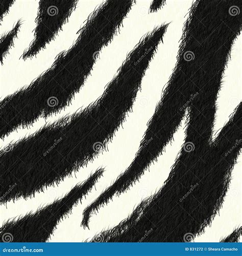 Zebra Skin Pattern Background Stock Illustration - Illustration of ...