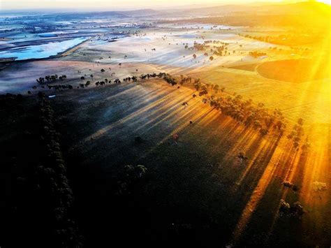 Things to do in Gold Coast Hinterland- Visit a 23 million year old forest - Lakshmi Sharath