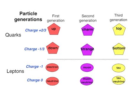 Properties of Quarks, Hadrons & Leptons | Curious.com