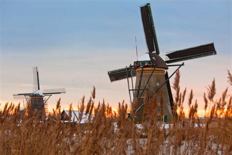 Kinderdijk Windmills in Winter Stock Photo - Image of polder, land: 17142882