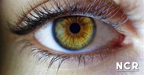 ¿Cuáles son los colores de ojos más raros del mundo? | NCR Noticias ...