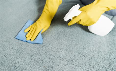 How to Effectively Remove Pet Stains from Your Carpet - Better HouseKeeper