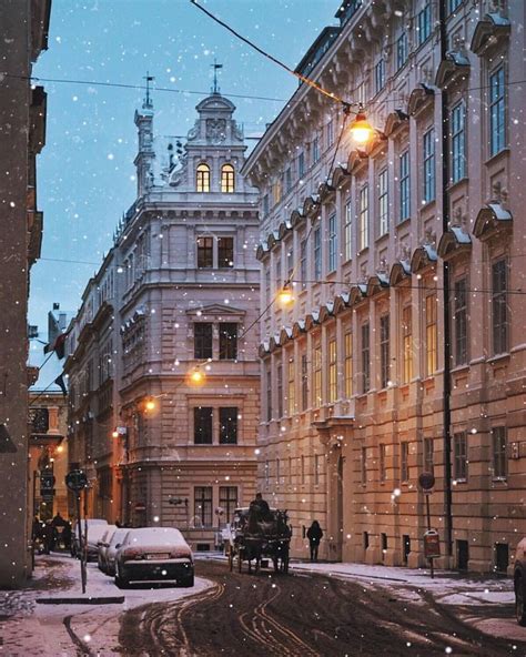 Snowy Vienna | Vienna austria winter, Vienna winter, Vienna austria