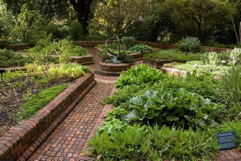 Shade-loving herbs grow in popularity for landscape clients