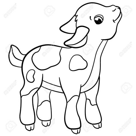 Cute Goat Drawing | Free download on ClipArtMag