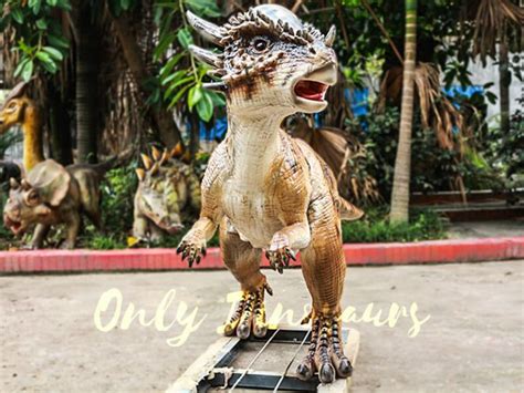 Realistic Animatronic Dinosaurs For Sale | Only Dinosaurs