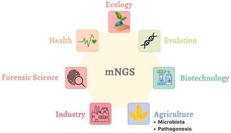 JoF | Free Full-Text | Metagenomics Next Generation Sequencing (mNGS ...