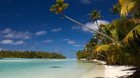 Best things to do in Rarotonga Cook Islands | escape.com.au