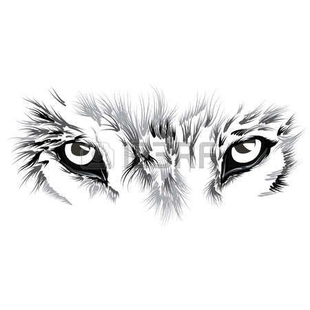 Beau visage loup. illustration | Yeux de loup, Visage de loup, Tatouage de lion sur le bras