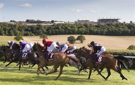 Goodwood Racecourse Pilot Event- Saturday 1st August 2020 – Racecourse ...