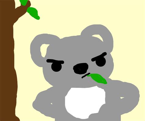 Angry Koala - Drawception