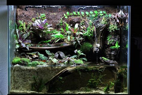 Paludarium Aquarium For Sale - Paludarium 2021