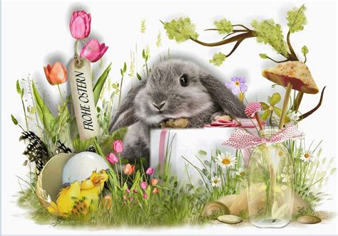 Frohe Ostern wünsche ich allen von ganzem Herzen Foto & Bild | ostern, kultur, motive Bilder auf ...