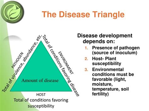 PPT - Disease Management PowerPoint Presentation, free download - ID:496277