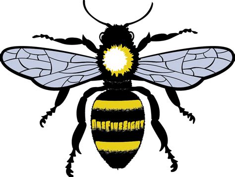 Manchester Bee - Image to u