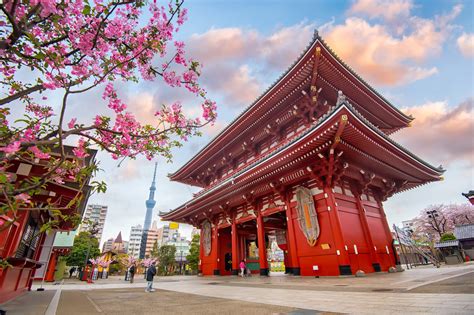 24 Best Things to Do in Tokyo - Tokyo Attractions - Go Guides