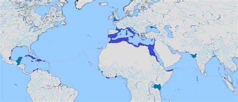 The Carthaginian empire at its maximum extent in the year 117 (finished) : r/imaginarymaps