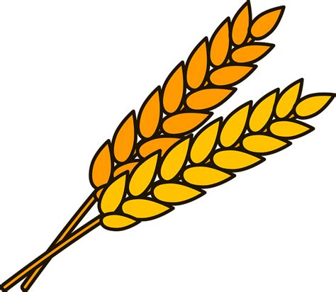 Wheat clipart. Free download transparent .PNG | Creazilla