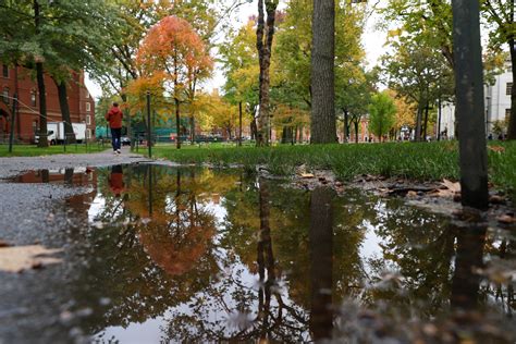 Five Takeaways from Harvard College’s Fall Planning Town Hall | News | The Harvard Crimson