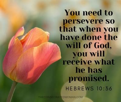 Perseverance | The Consecrated Woman