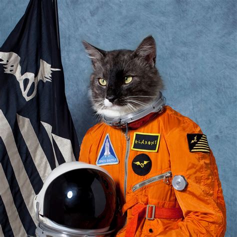 🔥 [30+] Cat Astronaut Wallpapers | WallpaperSafari