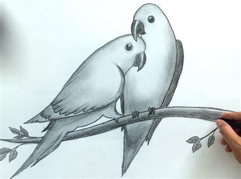 How to draw love birds Step by Step